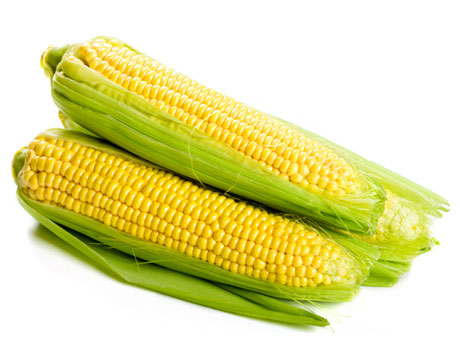 1284907578_corn