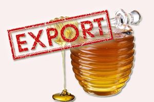 eksport-meda-37462-55024