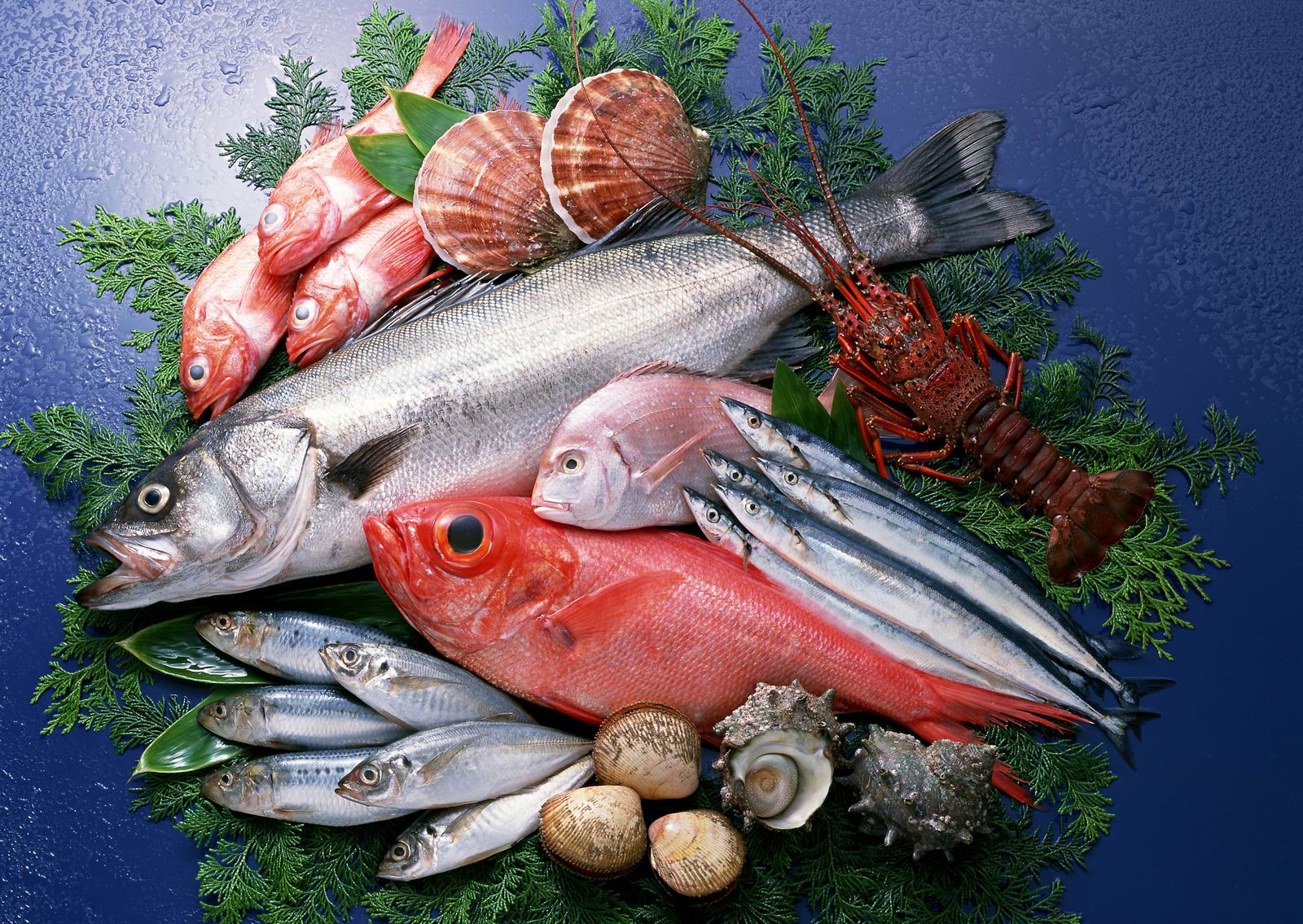 fresh_fish_assortment