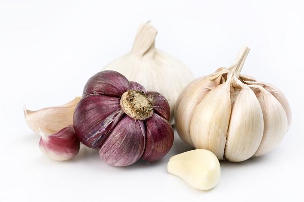 102024003_garlic_260991c