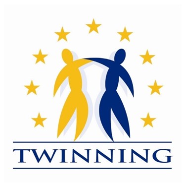 1twinning