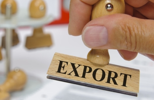 export_504x327