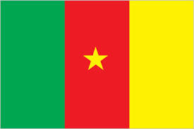 flag_of_cameroon