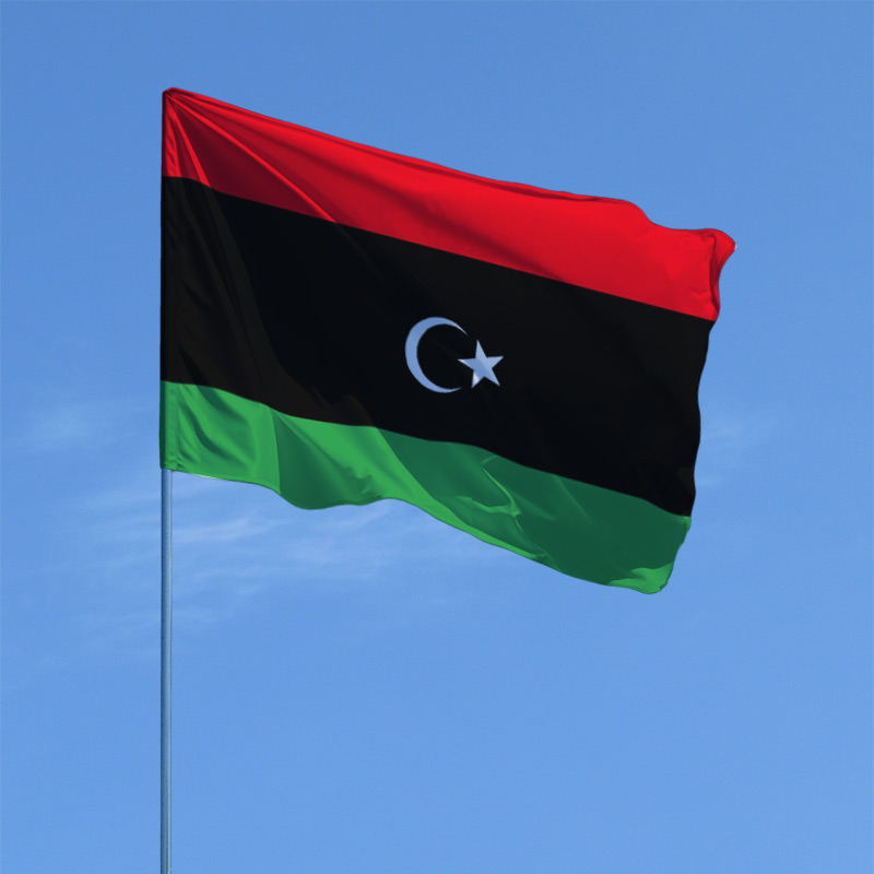 flag-livii_b