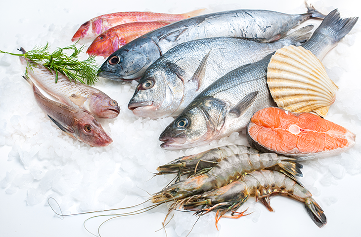 frozen-fish