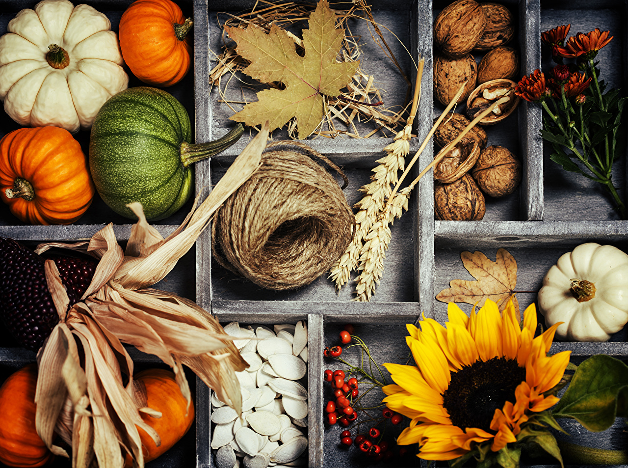 pumpkin_autumn_505300