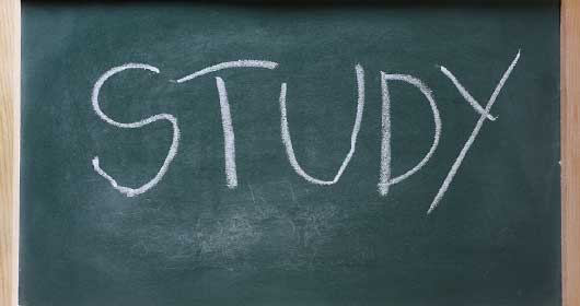 67567studyl