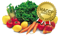 6_corso-haccp