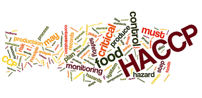 haccp-word-cloud