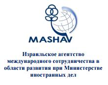 mashav