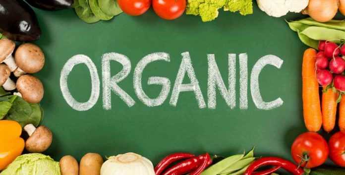 organic-food