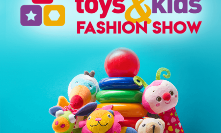 toy
